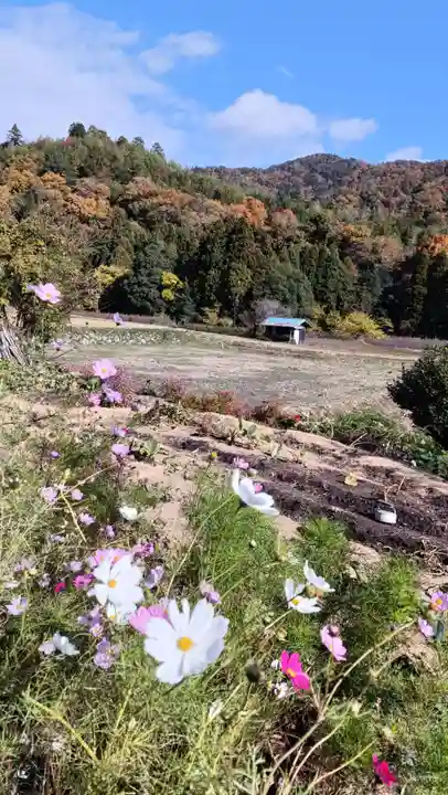 鶏足寺(滋賀県)