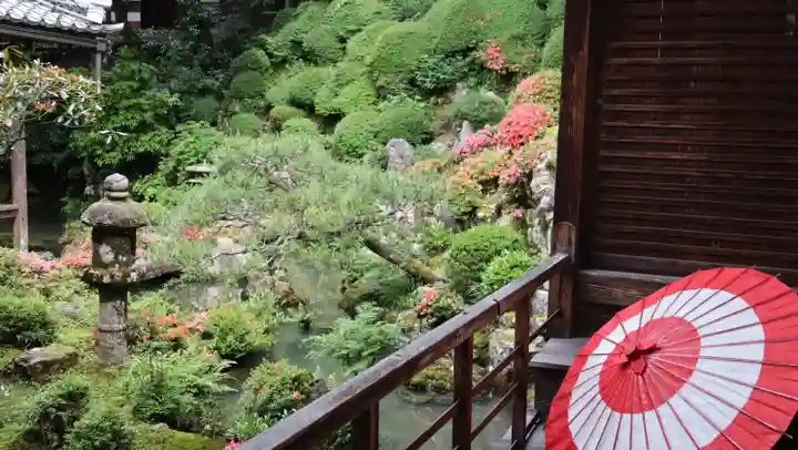 柳谷観音 楊谷寺(京都府)