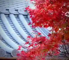 普元寺(愛知県)