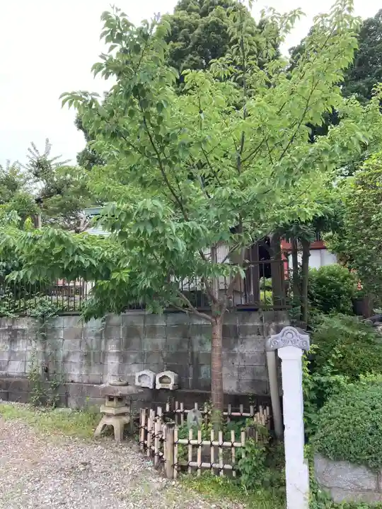 浄土宗 光明山 大蓮寺(照曜会館)(神奈川県)
