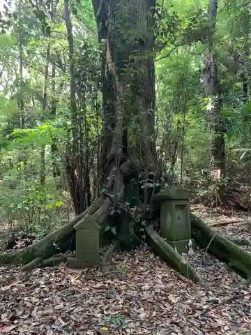 正一位八幡神社(千葉県)
