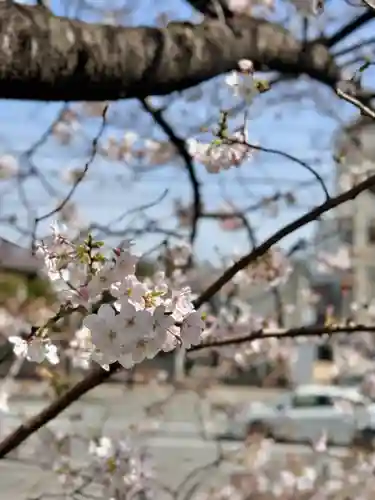 三島神社(徳島県)