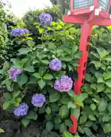 放生寺(東京都)