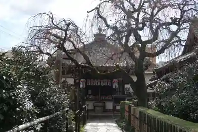 地蔵院（椿寺）(京都府)