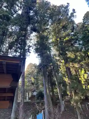 大宮温泉神社(栃木県)