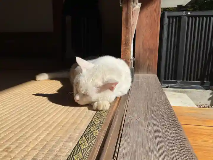 宝寿院(愛知県)