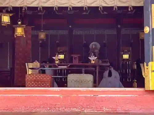 富士山本宮浅間大社(静岡県)