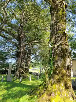 磯宮八幡神社(兵庫県)