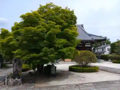 阿弥陀寺(京都府)
