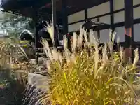 本長寺(滋賀県)