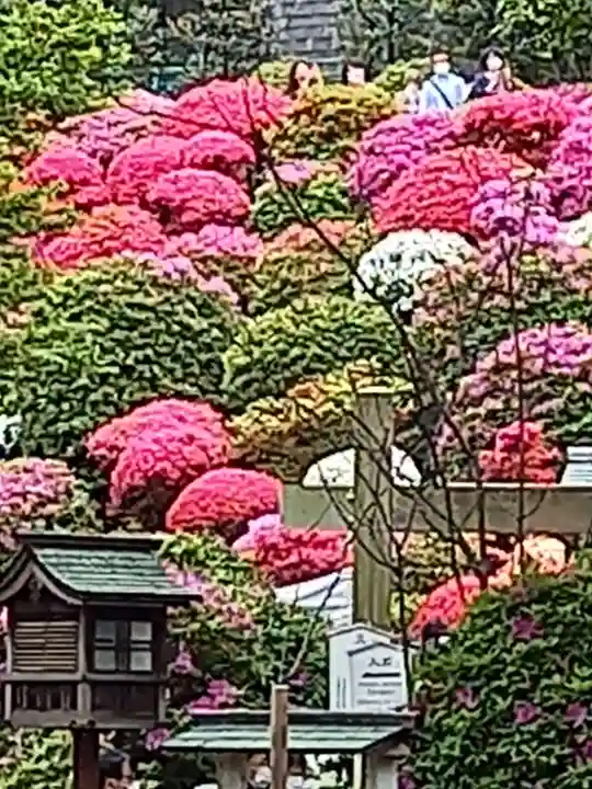 根津神社(東京都)