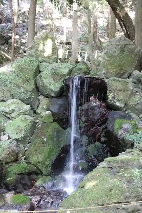 出雲大神宮の自然