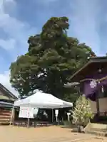 九重神社のその他建物