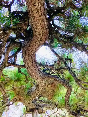 神武天皇遥拝殿(茨城県)