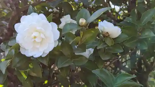 光悦寺(京都府)