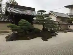 観智院（東寺子院）の庭園