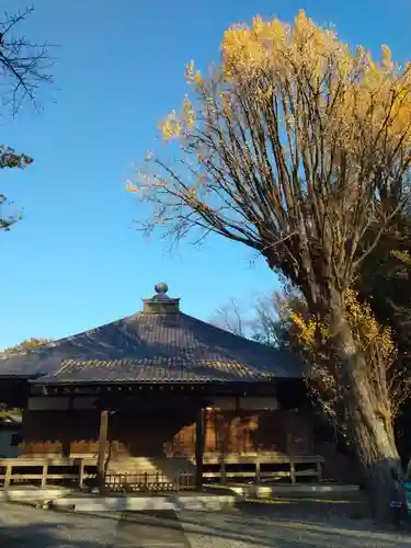 妙光院(東京都)