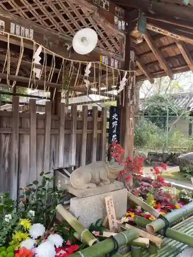 北野天満宮の手水舎