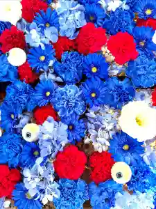 金峯神社(新潟県)(2025年10月25日(土) 12時01分42秒投稿)