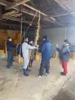 屋久島大社の体験その他