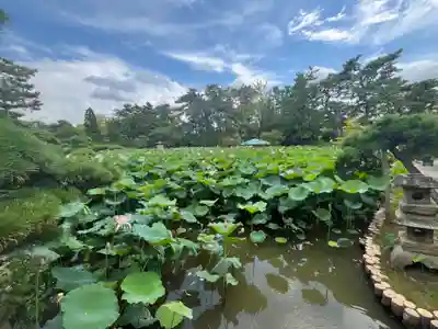白山神社(新潟県)