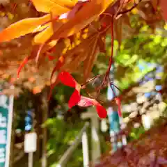 滑川神社 - 仕事と子どもの守り神の自然