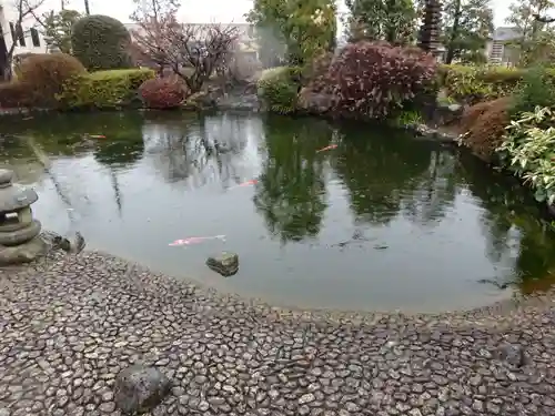 龍澤山祥雲寺の庭園