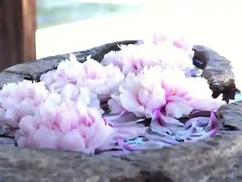 箭弓稲荷神社の手水舎