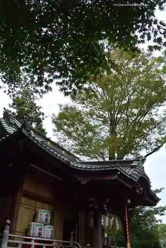 白笹稲荷神社(神奈川県)
