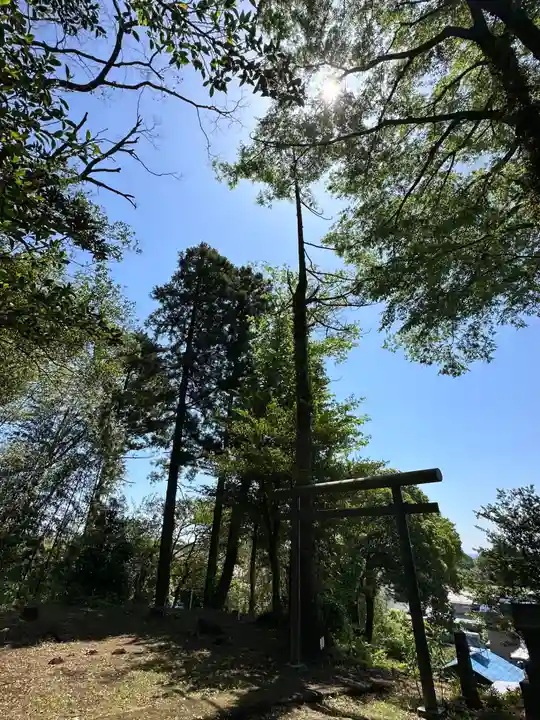 八坂神社(神奈川県)