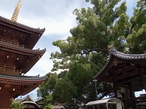 法楽寺のその他建物