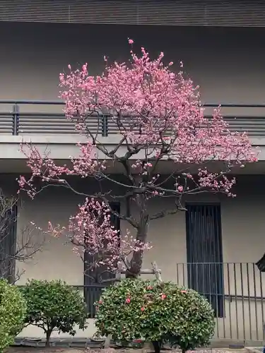 生田神社(兵庫県)
