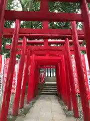 武蔵一宮氷川神社の鳥居