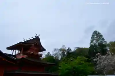 富士山本宮浅間大社の本殿・本堂