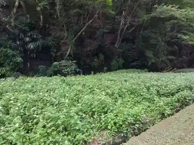 日月神社(静岡県)