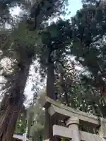 大宮温泉神社(栃木県)