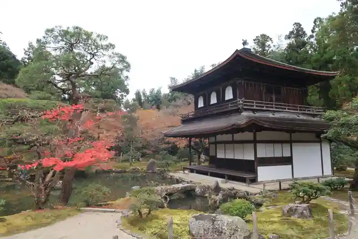 慈照寺(慈照禅寺・銀閣寺)の庭園