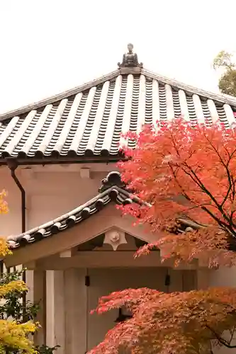 禅林寺（永観堂）(京都府)