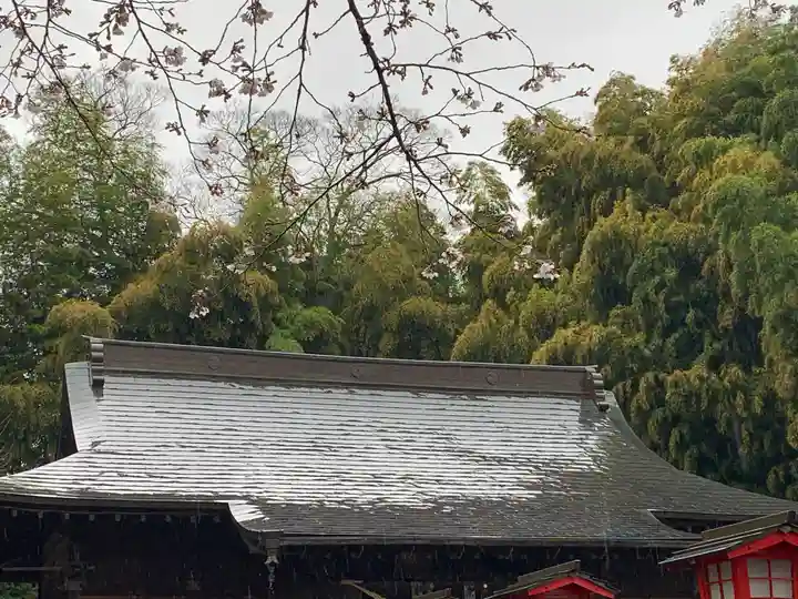 金井神社の本殿・本堂