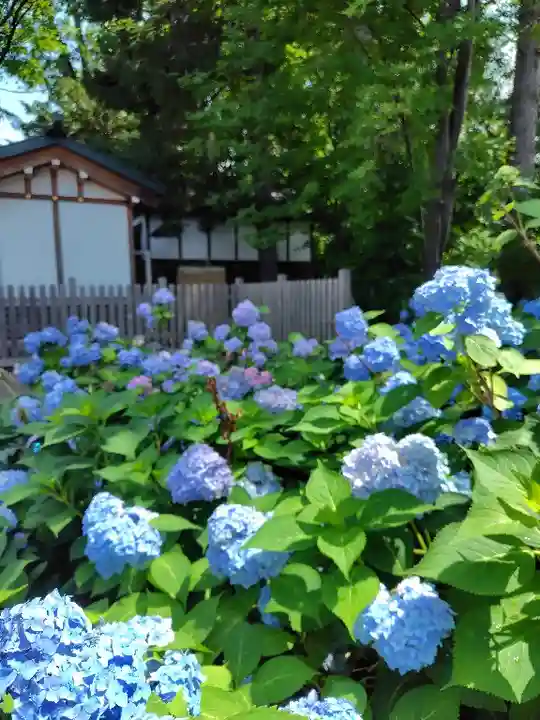 旭川神社の自然