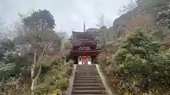 浄瑠璃寺(京都府)