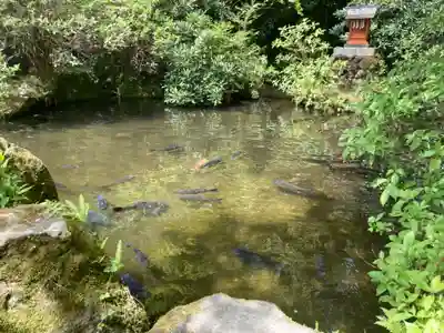 箱根神社(神奈川県)