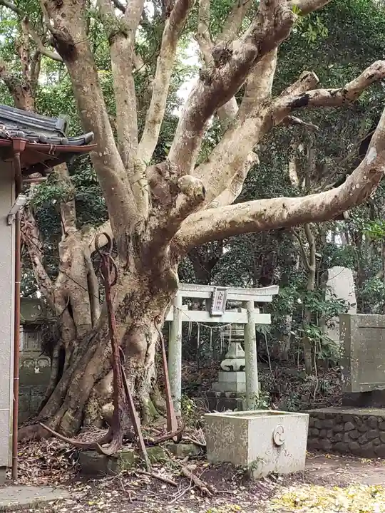渡海神社(千葉県)