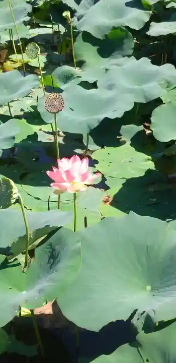 法華経寺(千葉県)