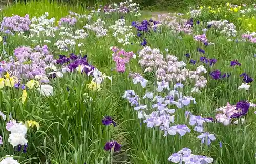 小國神社(静岡県)
