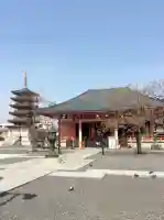 津観音の{uncategorized: "未分類", other: "その他", undefined: "問題あり", building: "その他建物", grave: "お墓", sacred_gate: "鳥居", guardian: "狛犬", statue: "像", buddha: "仏像", history: "歴史", nature: "自然", garden: "庭園", animal: "動物", pagoda: "塔", temizu: "手水舎", mountain_gate: "山門・神門", sanctuary: "本殿・本堂", subordinate: "末社・摂社", art: "芸術", scenery: "景色", jizo: "地蔵", ema: "絵馬", goshuin: "御朱印", omikuji: "おみくじ", items: "授与品その他", amulet: "お守り", goshuincho: "御朱印帳", eats: "食事", festival: "お祭り", votive_dance: "神楽", shichigosan: "七五三参", wedding: "結婚式", experience: "体験その他", initially: "初詣", around: "周辺", anti_infection: "感染症対策"}