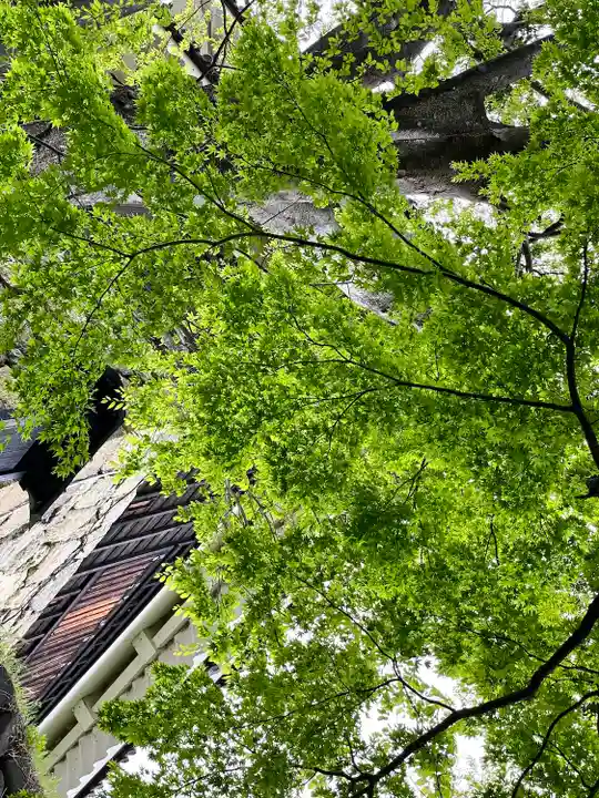 眞田神社の自然