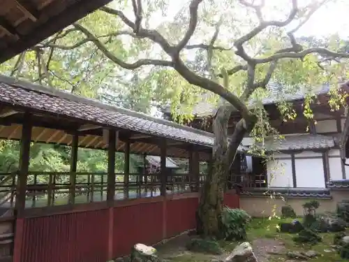 十輪寺(京都府)