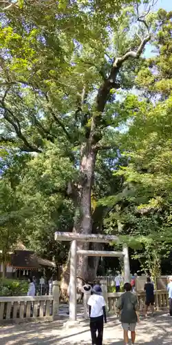 伊弉諾神宮(兵庫県)