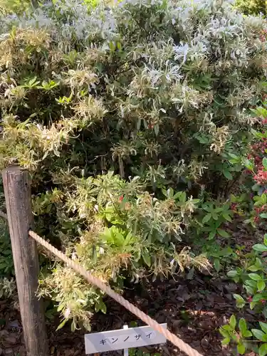 根津神社の庭園